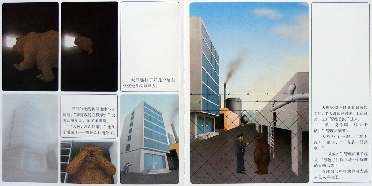 森林大熊 (05),绘本,绘本故事,绘本阅读,故事书,童书,图画书,课外阅读